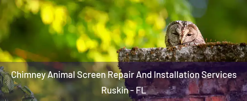  Chimney Animal Screen Repair And Installation Services Ruskin - FL