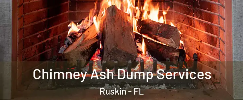  Chimney Ash Dump Services Ruskin - FL