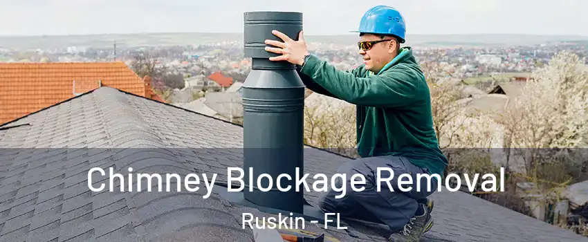  Chimney Blockage Removal Ruskin - FL