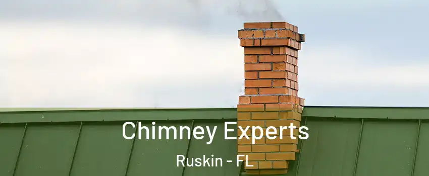  Chimney Experts Ruskin - FL