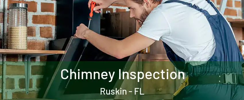  Chimney Inspection Ruskin - FL