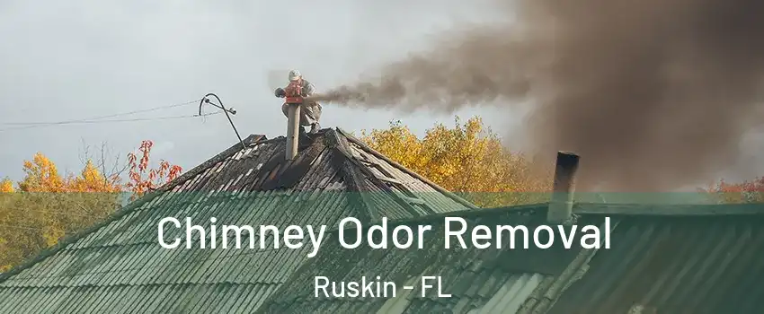  Chimney Odor Removal Ruskin - FL