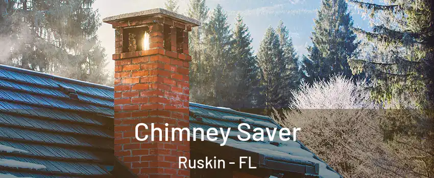  Chimney Saver Ruskin - FL