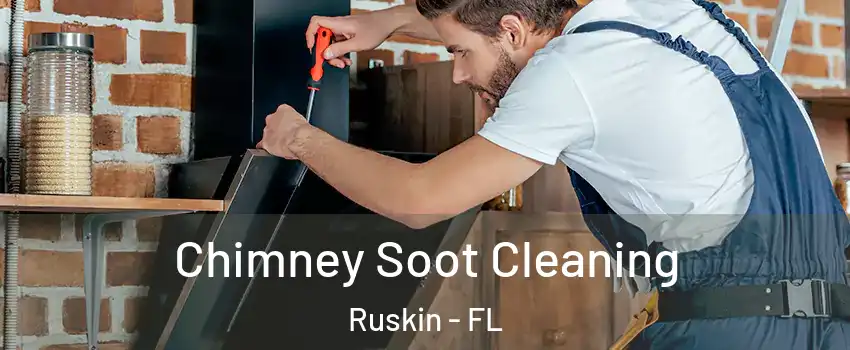  Chimney Soot Cleaning Ruskin - FL