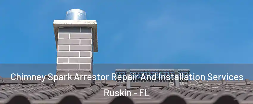  Chimney Spark Arrestor Repair And Installation Services Ruskin - FL