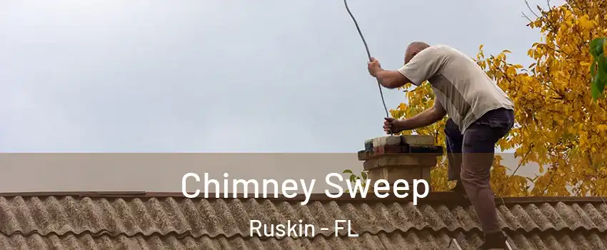  Chimney Sweep Ruskin - FL