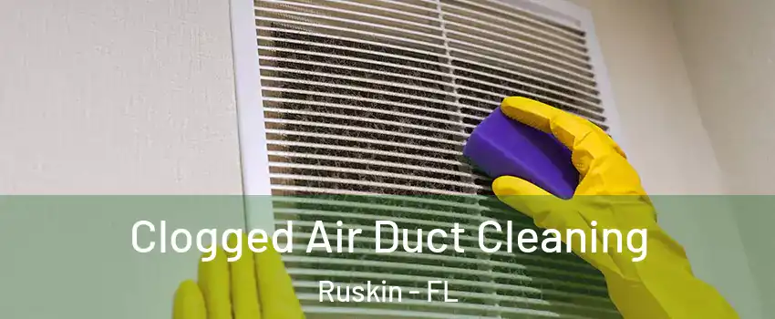  Clogged Air Duct Cleaning Ruskin - FL