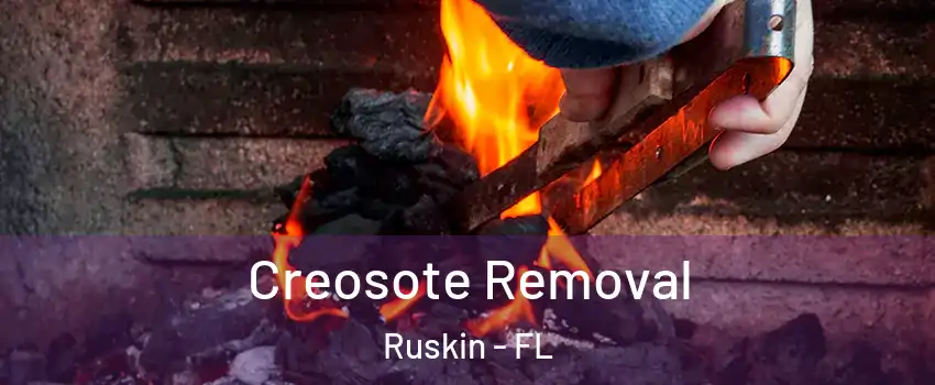 Creosote Removal Ruskin - FL