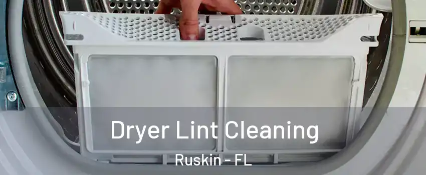 Dryer Lint Cleaning Ruskin - FL