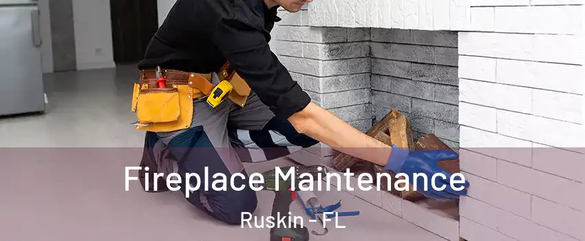 Fireplace Maintenance Ruskin - FL