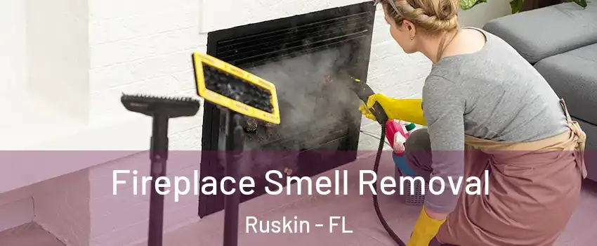  Fireplace Smell Removal Ruskin - FL
