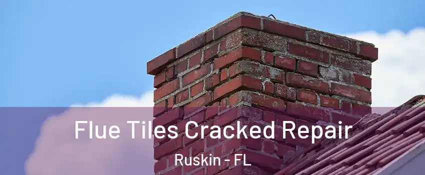  Flue Tiles Cracked Repair Ruskin - FL