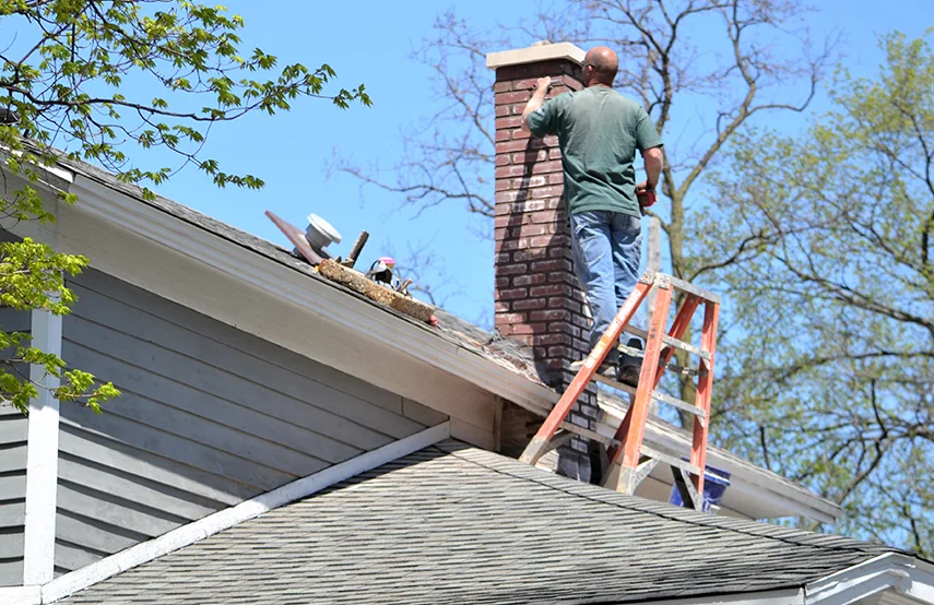Chimney & Fireplace Inspections Services in Ruskin, FL