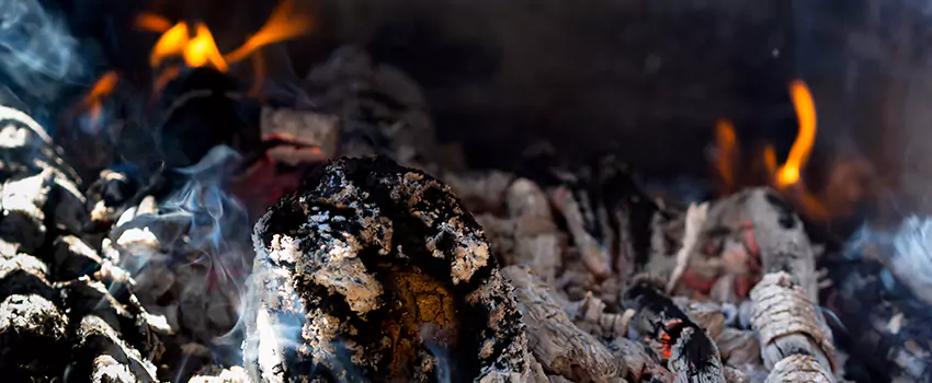 Creosote Removal Experts in Ruskin, FL