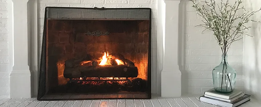 Cost-Effective Fireplace Mantel Inspection And Maintenance in Ruskin, FL